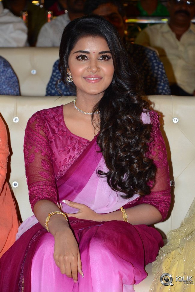 Krishnarjuna-Yuddham-Pre-Release-Function